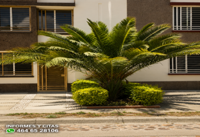 Foto de inmueble en Michilia, 36766 Residencial Arboledas, Gto. #140, Col. Residencial Arboledas C.P. 36766, Salamanca