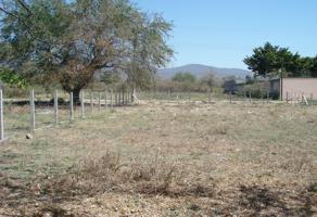 Foto de inmueble en CALLE DE LOS MANGOS #LTE 13, MZA 3, Col. Huertos de Miacatlan C.P. 62607, Miacatlán