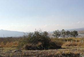Foto de inmueble en Del Pino, Conjunto Habitacional el Trébol, Mich. #110, Col. El Trébol C.P. 58893, Tarímbaro