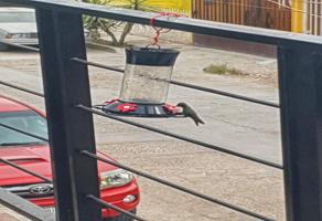 Foto de inmueble en Arco del Triunfo B 116 #116, Col. Los Arcos C.P. 20146, Aguascalientes