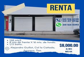 Foto de inmueble en Calle Ingeniero Alejandro Guillot #s/n, Col. La Cañada C.P. 90360, Apizaco