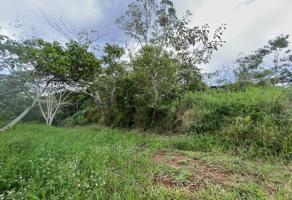 Foto de inmueble en Nuevo Xalapa, 91097 Xalapa-Enríquez, Ver. #s/n, Col. Nuevo Xalapa C.P. 91097, Xalapa
