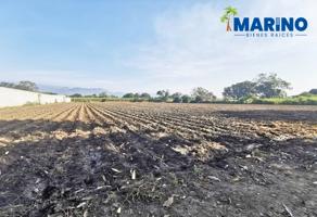 Foto de inmueble en Carretera Cuautla-Yautepec, Col. 24 de Febrero C.P. 62733, Yautepec