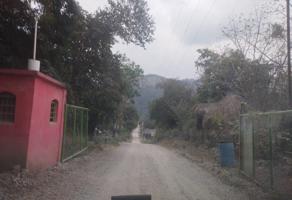 Foto de inmueble en Micos, Col. Ciudad Valles Centro C.P. 79000, Ciudad Valles
