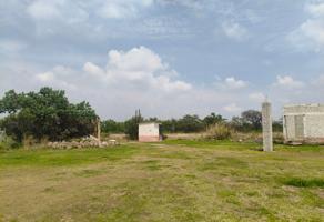 Foto de inmueble en 76229 El Nabo, Qro., Col. El Salitre C.P. 76127, Querétaro
