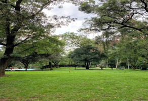 Foto de inmueble en Camino Sta. Teresa 13, Fuentes del Pedregal, Tlalpan, 14110 Ciudad de México, CDMX, Col. Pedregal del Lago C.P. 14110, Tlalpan