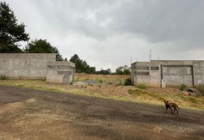 Foto de inmueble en ARCANGEL MIGUEL #0, Col. Sección Quinta C.P. 90750, Zacatelco