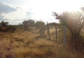 Foto de inmueble en 20396 El Refugio de Peñuelas, Ags. #s/n, Col. Ex-Hacienda de Peñuelas C.P. 20396, Aguascalientes