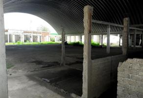 Foto de inmueble en Carretera Federal México-Texcoco #s/n, Col. Ampliación Presidentes C.P. 56377, Chicoloapan