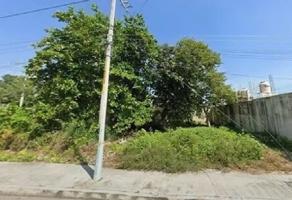 Foto de inmueble en AVENIDA NICOLAS BRAVO LOTE 3 #SN, Col. Proterritorio C.P. 77086, Othón P. Blanco
