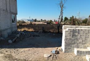 Foto de inmueble en LA OBRA, Col. San Isidro C.P. 90288, Nanacamilpa de Mariano Arista