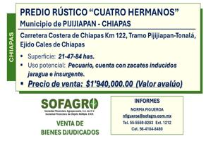 Foto de inmueble en PREDIO RUSTICO CUATRO HERMANOS #s/n, Col. Cales de Chiapas C.P. 30548, Pijijiapan