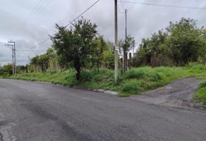 Foto de inmueble en Av. Aeropuerto, 62595 Col. Santa Úrsula, Mor. #s/n, Col. Eterna Primavera C.P. 62595, Temixco