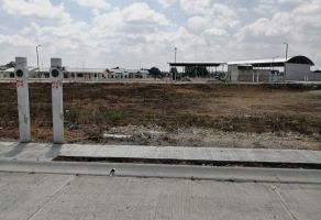 Foto de inmueble en S/N S/N, Col. El Laurel C.P. 30036, Comitán de Domínguez