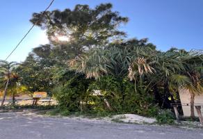 Foto de inmueble en Av. 19-A, Diego Rojas Zapata, Bacalar, Q.R. #s/n, Col. Bacalar Centro C.P. 77930, Bacalar