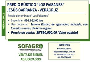 Foto de inmueble en PREDIO RUSTICO LOS FAISANES #-Int. -, Col. Jesús Carranza C.P. 96950, Jesús Carranza