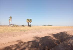 Foto de inmueble en 21905 Ejido Tabasco, B.C., Col. El Chorizo C.P. 21905, Mexicali