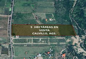 Foto de inmueble en , Col. Calvillo Centro C.P. 20800, Calvillo