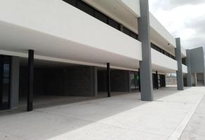 Foto de inmueble en Local Nuevo en Renta o Venta en Aguascalientes Plaza Zarzales, Col. El Chichimeco C.P. 20916, Jesús María