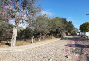 Foto de inmueble en Terreno EN Venta A UN Costado DE LA Comunidad DEL Niagara, Col. El Niágara C.P. 20372, Aguascalientes