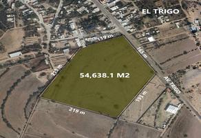 Foto de inmueble en , Col. El Trigo C.P. 20367, Aguascalientes