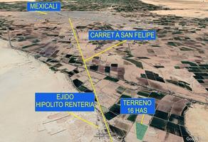 Foto de inmueble en , Col. 4 Cerro Prieto (Rancho el Roa) C.P. 21703, Mexicali