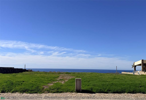 Foto de inmueble en ALICANTE, Col. Cuatro Milpas C.P. 22767, Ensenada