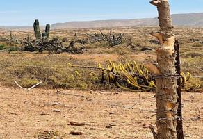 Foto de inmueble en Sin nombre, Col. El Rosario de Abajo C.P. 22960, San Quintín