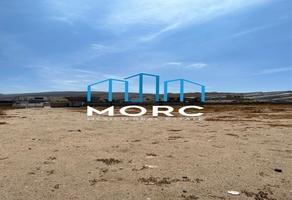 Foto de inmueble en San Jorge, Col. Praderas del Ciprés C.P. 22785, Ensenada