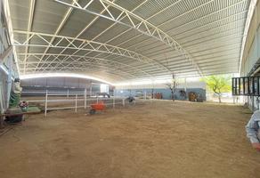 Foto de inmueble en , Col. Santa Isabel C.P. 21139, Mexicali