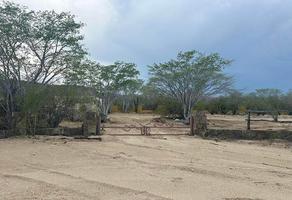 Foto de inmueble en Circuito Del Sol, Col. El Pescadero C.P. 23354, La Paz