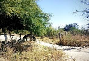 Foto de inmueble en Carretera Federal 19 a Todos Santos-La Paz, Col. Zona Central C.P. 23000, La Paz