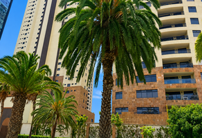 Foto de inmueble en paseo centenario, Col. Zona Urbana Río Tijuana C.P. 22010, Tijuana