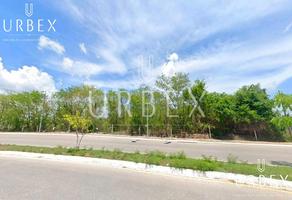 Foto de inmueble en Excelente Y Amplio Terreno EN Venta Sobre AV. Benito Juárez EN Presidentes DE México, Campeche, Col. Presidentes de México C.P. 24088, Campeche