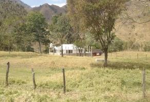 Foto de inmueble en Carretera, Col. Agrónomos Mexicanos C.P. 30491, Villaflores