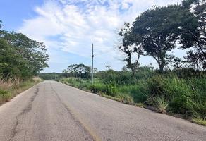 Foto de inmueble en Carretera a Colonia Vicente Guerrero - Ciudad Maya, Col. Alfonso Moguel C.P. 29144, Ocozocoautla de Espinosa