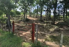 Foto de inmueble en Sin nombre de calle #S/n, Col. Benito Juárez C.P. 29120, San Fernando
