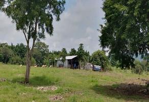 Foto de inmueble en Carretera Internacional-Berriozábal, Col. Cabeza de Agua (San Antonio) C.P. 29180, Chiapa de Corzo