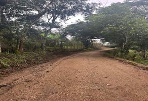 Foto de inmueble en Camino Real a Poma Rosa, Col. Copalar C.P. 29123, San Fernando