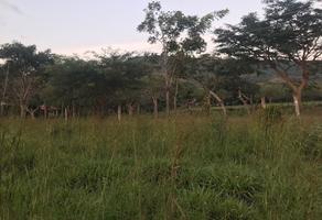 Foto de inmueble en Carretera Apicpac, Col. Cruz Blanca C.P. 29140, Ocozocoautla de Espinosa