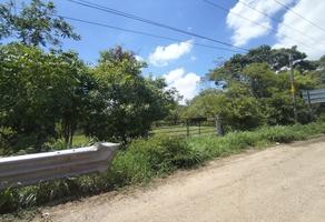 Foto de inmueble en , Col. El Palmar C.P. 29130, Berriozábal