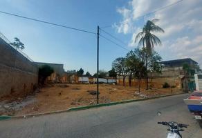 Foto de inmueble en Avenida 10a sur, Col. Guadalupe C.P. 30400, Cintalapa