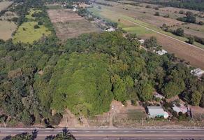 Foto de inmueble en Km 12 carretera a Puerto Madero, Col. Hidalgo C.P. 30834, Tapachula