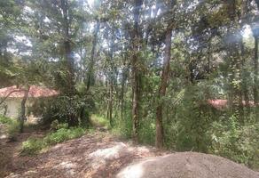 Foto de inmueble en , Col. Huitepec Ocotal Sección II C.P. 29300, San Cristóbal de las Casas