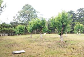 Foto de inmueble en , Col. Las Peras C.P. 29254, San Cristóbal de las Casas