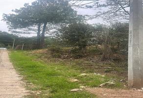 Foto de inmueble en Rincón de La Montaña, Col. Los Alcanfores C.P. 29246, San Cristóbal de las Casas