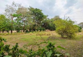 Foto de inmueble en Carretera Tapachula-Mazatan y Camino Jardin las Flores, Col. Mazatán C.P. 30650, Mazatán
