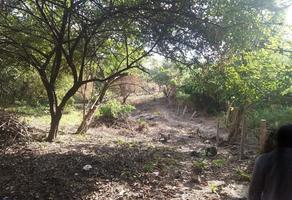 Foto de inmueble en , Col. Nandambua 1a Sección C.P. 29165, Chiapa de Corzo