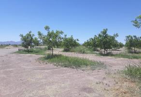 Foto de inmueble en ***venta DE Excelente Huerta Nogalera CD Aldama Chih, Col. Aldama Centro C.P. 32910, Aldama