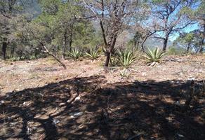 Foto de inmueble en Jame, Col. Jame C.P. 66254, Arteaga